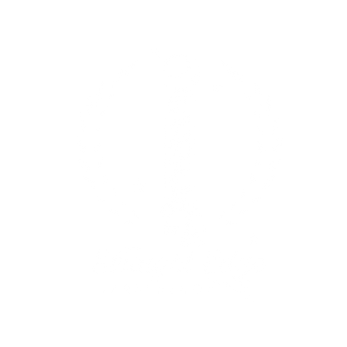 The Straight Edge Barbershop logo